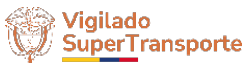 Vigilado Supertransporte