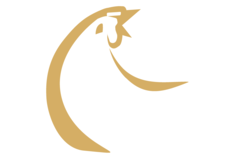 logo macpollo